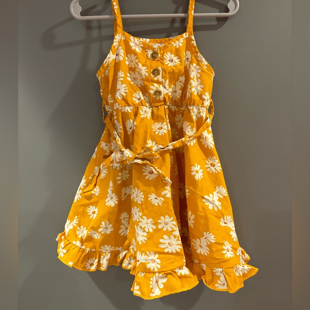 2T gently worn daisy dress